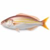 Golden Threadfin, Wild Catch, 300-400