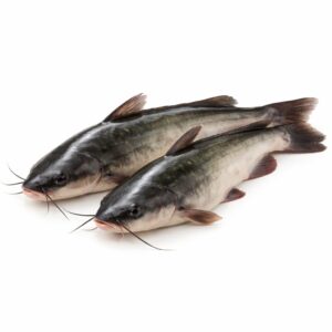 Catfish, Farm Raised, 2-3