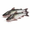 Catfish, Farm Raised, 2-3