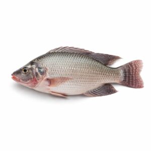 Tilapia GS, Farm Raised, 750up