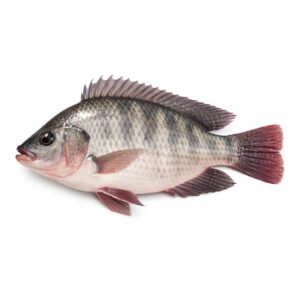Tilapia C&G, Farm Raised, 350-550