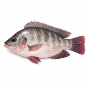 Tilapia C&G, Farm Raised, 550-750