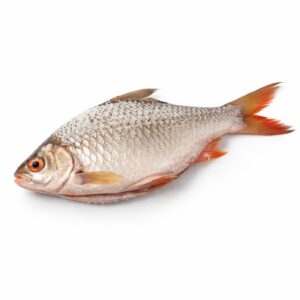Tinfoil Barb Whole Clean Salted (Ca He)