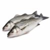 Striped Bass Whole Round, Farm Raised, 600up