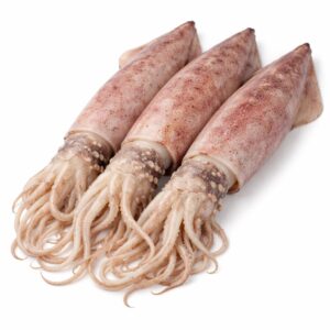 Squid Jumbo, Wild Catch, 600up