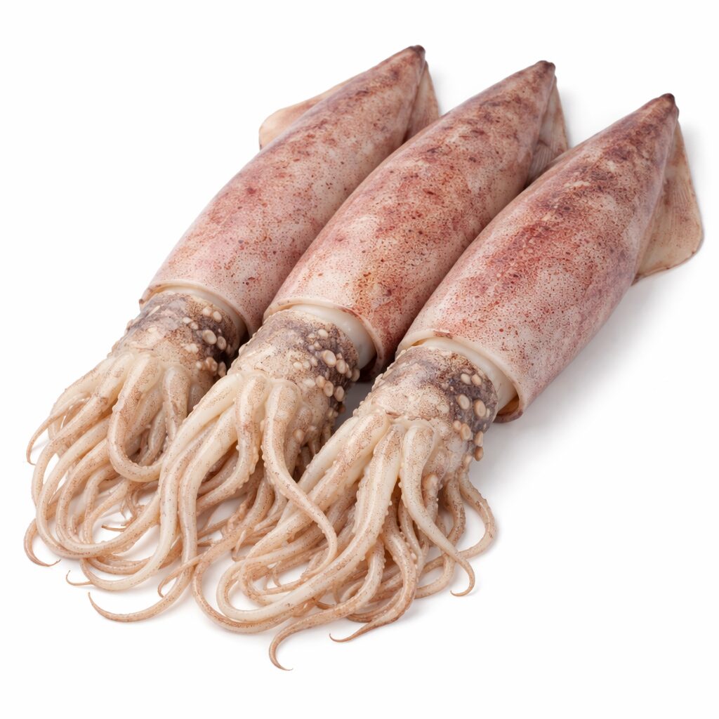 Squid Jumbo, Wild Catch, 600up