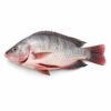 Tilapia GS Whole, Farm Raised, 350-550